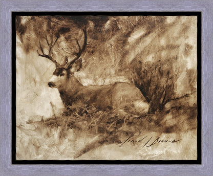 Bedded Buck