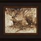 Bedded Buck