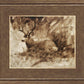Bedded Buck