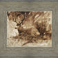 Bedded Buck