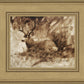 Bedded Buck
