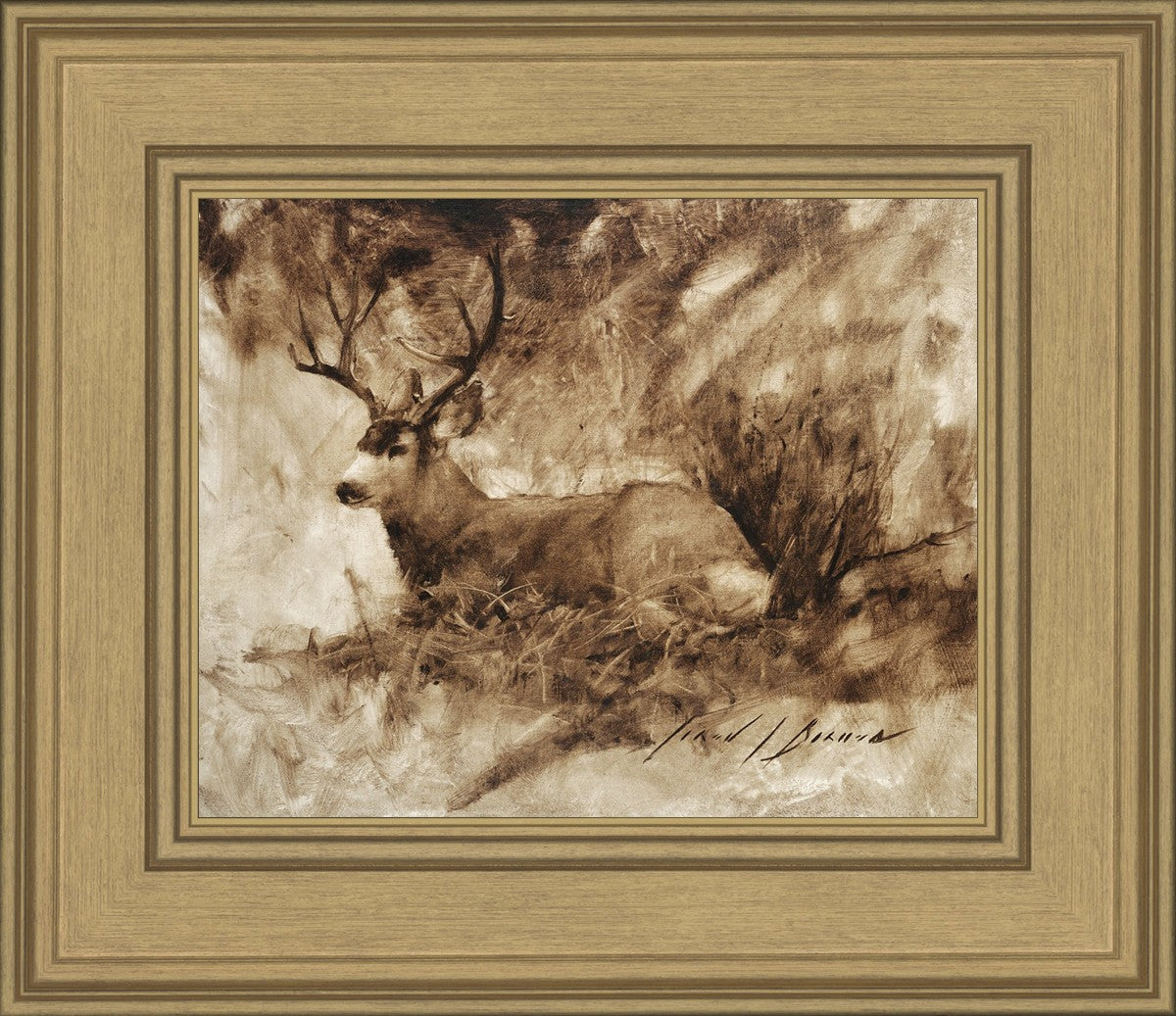 Bedded Buck
