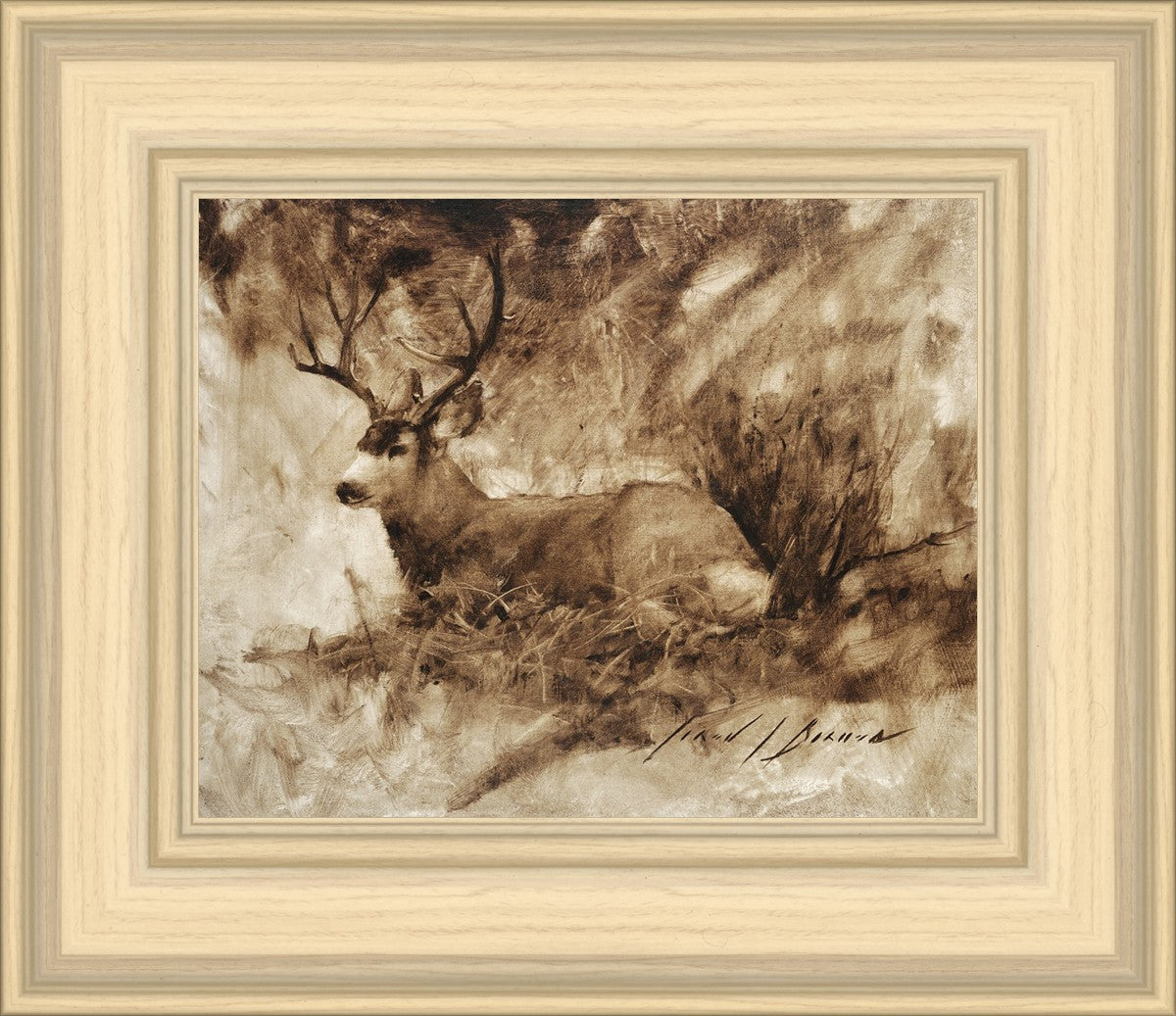 Bedded Buck