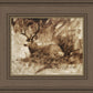 Bedded Buck