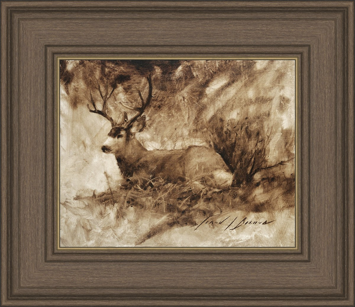 Bedded Buck