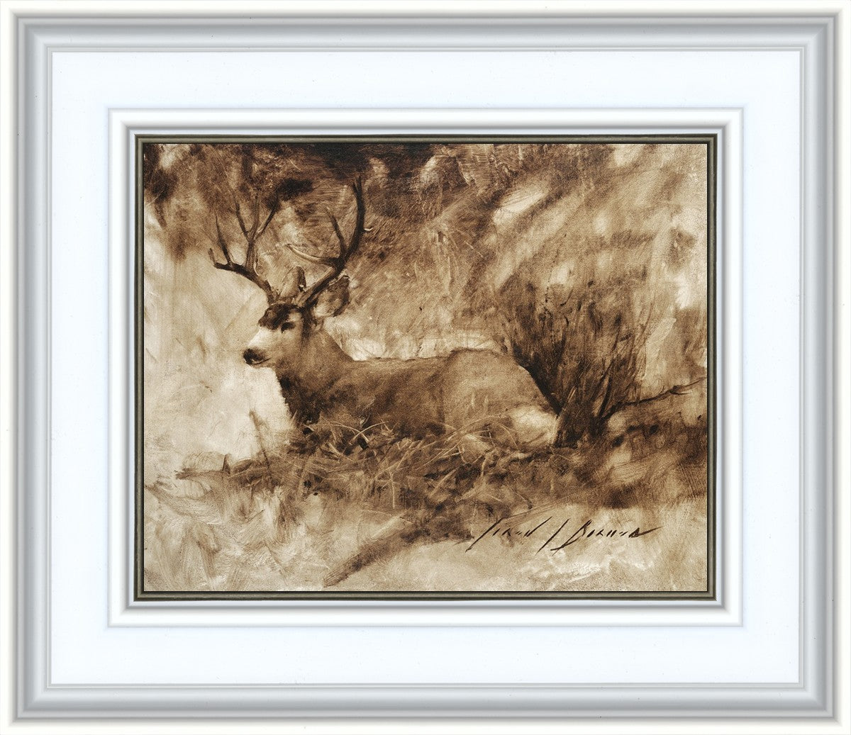 Bedded Buck