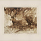Bedded Buck