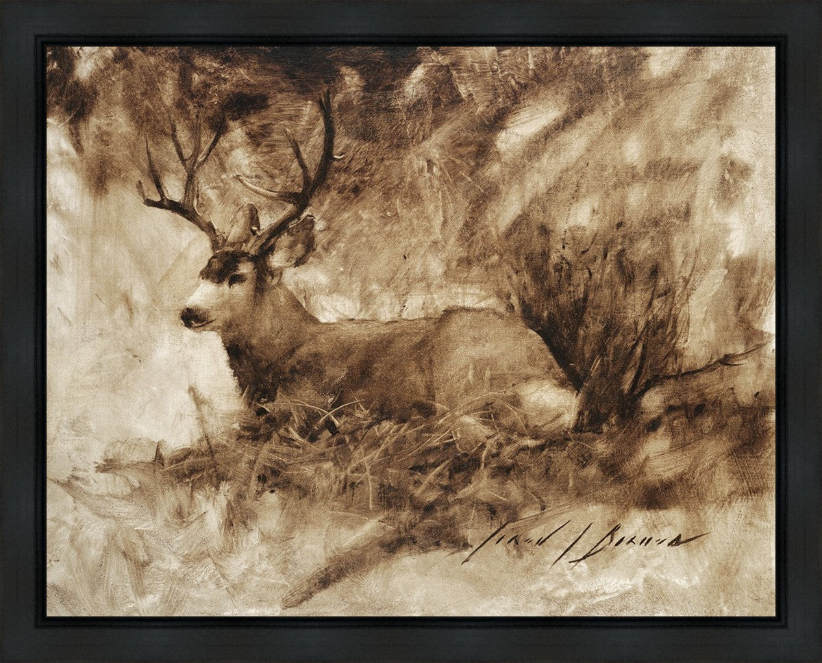 Bedded Buck Gallery Wrap