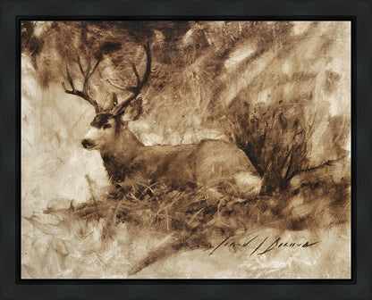 Bedded Buck