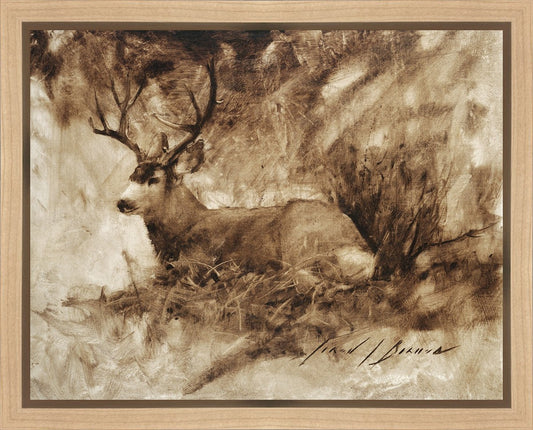 Bedded Buck