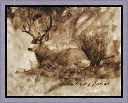 Bedded Buck