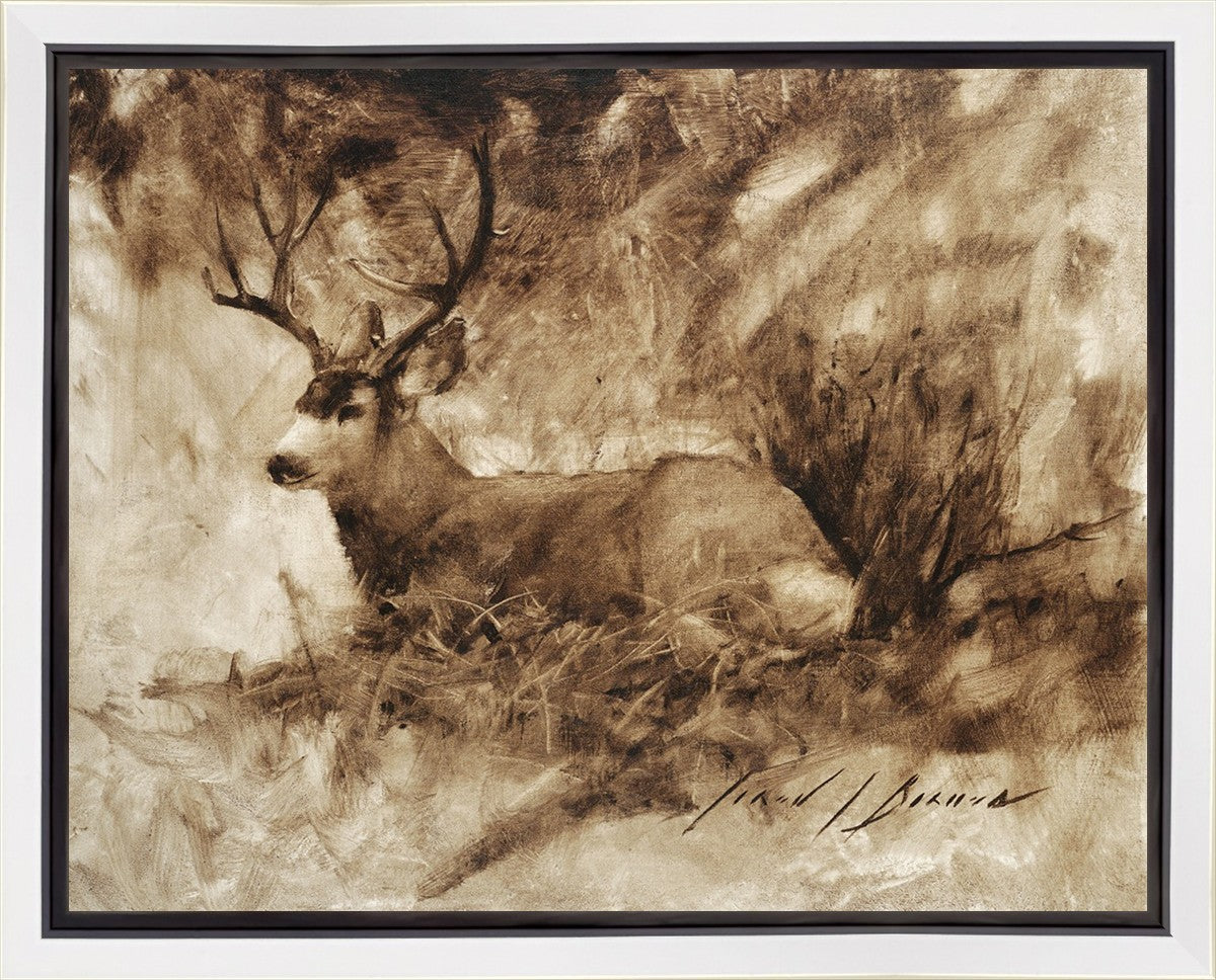 Bedded Buck Gallery Wrap