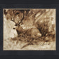 Bedded Buck