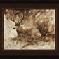 Bedded Buck