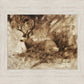 Bedded Buck
