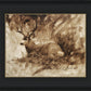 Bedded Buck