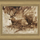 Bedded Buck