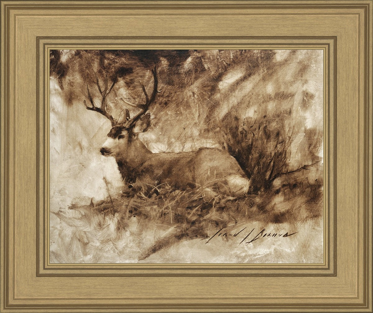 Bedded Buck
