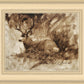 Bedded Buck