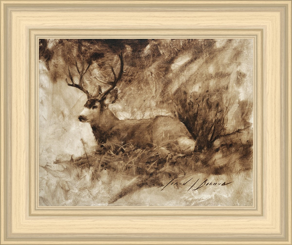 Bedded Buck