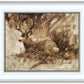 Bedded Buck