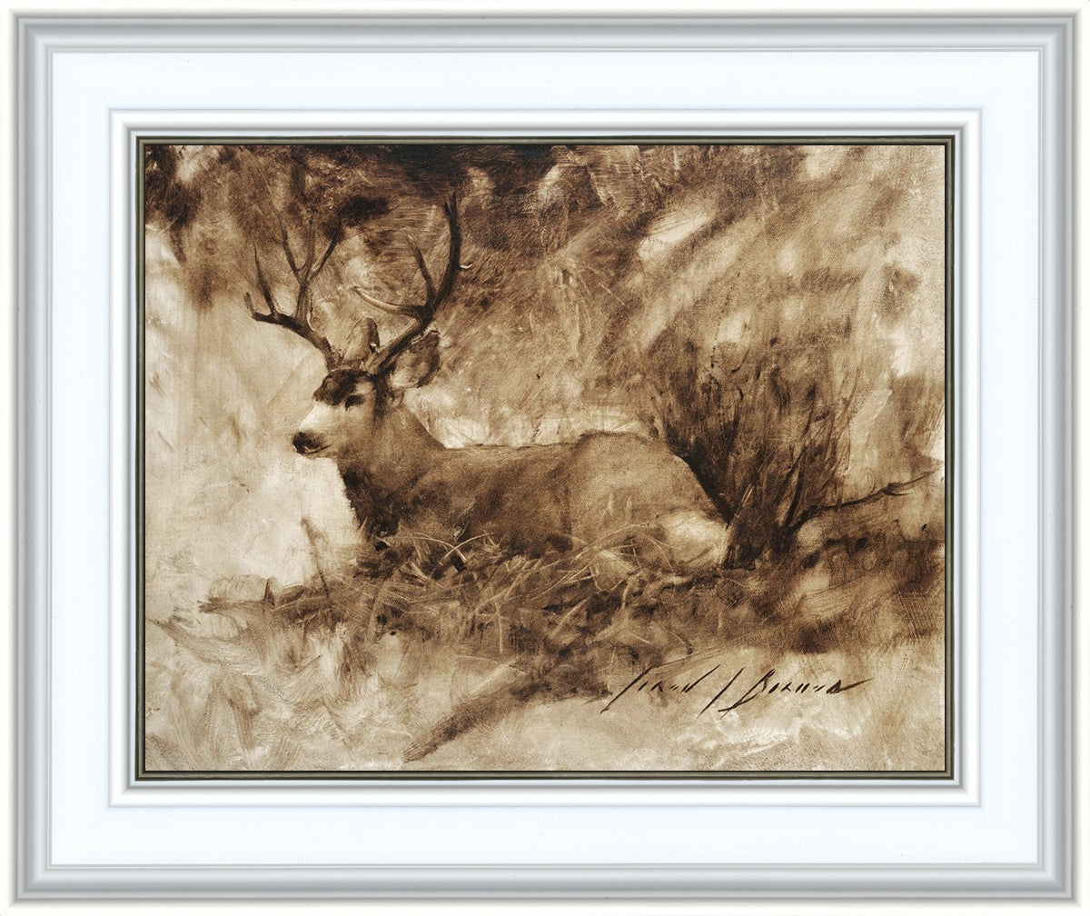 Bedded Buck