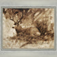 Bedded Buck