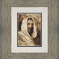 Our Shepherd