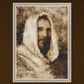 Our Shepherd