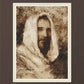 Our Shepherd