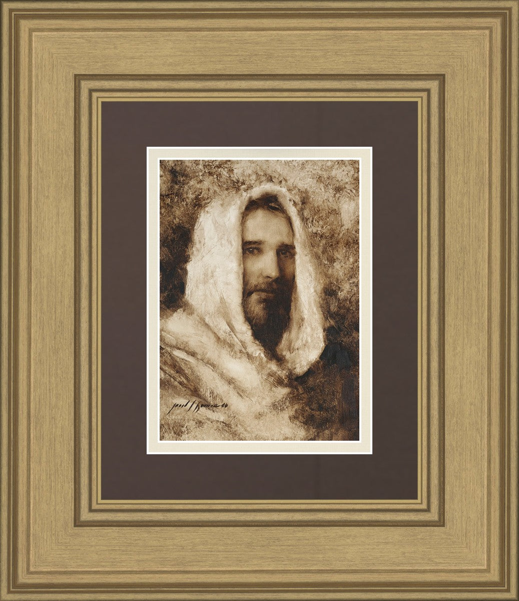 Our Shepherd