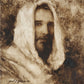 Our Shepherd
