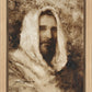 Our Shepherd