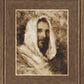 Our Shepherd