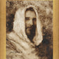 Our Shepherd