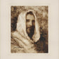 Our Shepherd