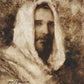 Our Shepherd