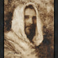 Our Shepherd