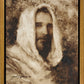 Our Shepherd