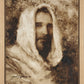 Our Shepherd