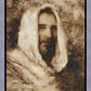 Our Shepherd