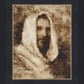 Our Shepherd
