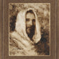 Our Shepherd