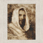 Our Shepherd
