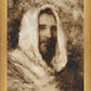 Our Shepherd