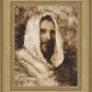Our Shepherd
