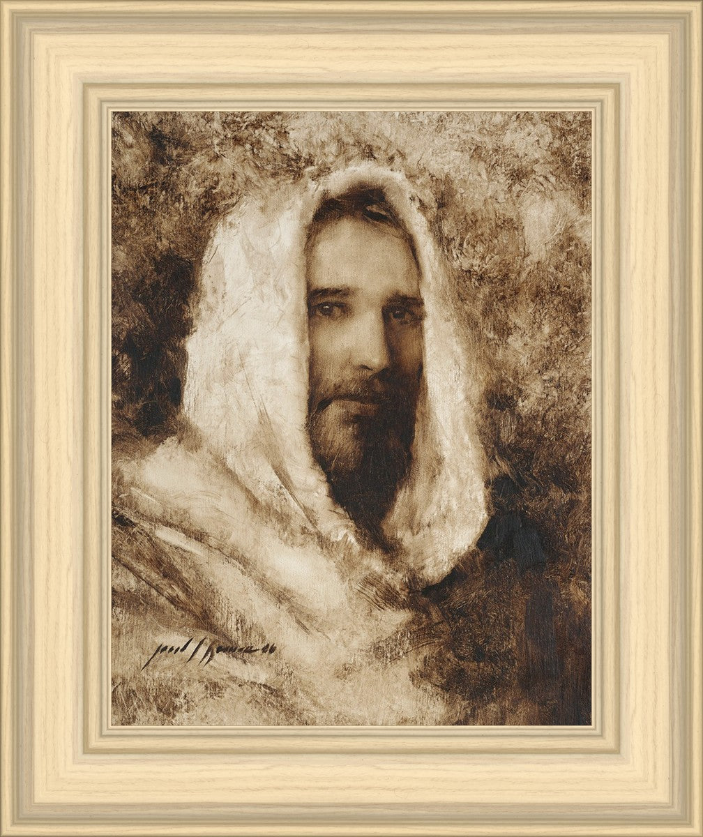Our Shepherd