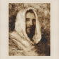 Our Shepherd