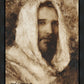 Our Shepherd
