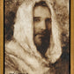 Our Shepherd